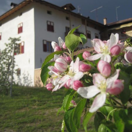 Agritur Maso San Bartolomeo Villa Romeno Exteriör bild
