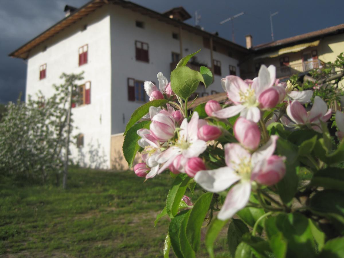 Agritur Maso San Bartolomeo Villa Romeno Exteriör bild
